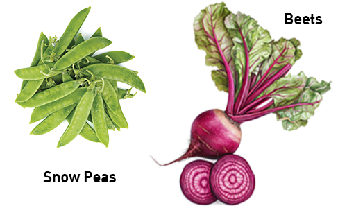 beets snow peas
