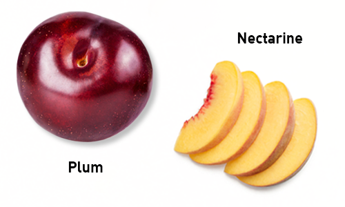 plum-peach