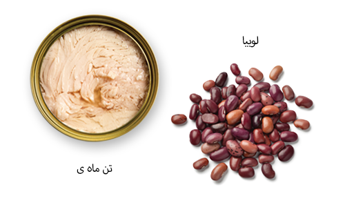 proteins