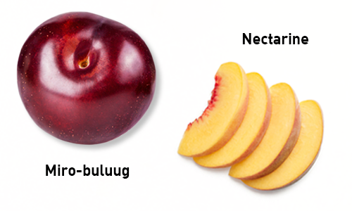plum-peach